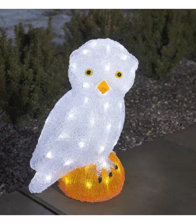 Sale Chouette Lumineuse Led Acrylique, 36 Cm Oiseaux Lumineux Et Animaux Lumineux
