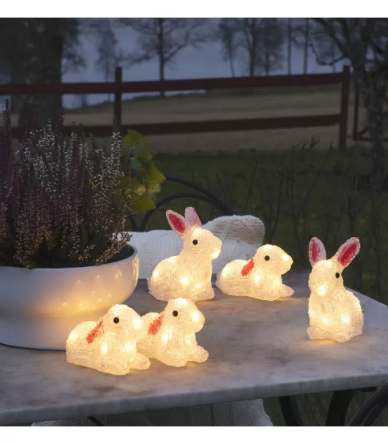 Best Lapins Lumineux 14 Cm En Acrylique, 40 Diodes Blanc Chaud Oiseaux Lumineux Et Animaux Lumineux