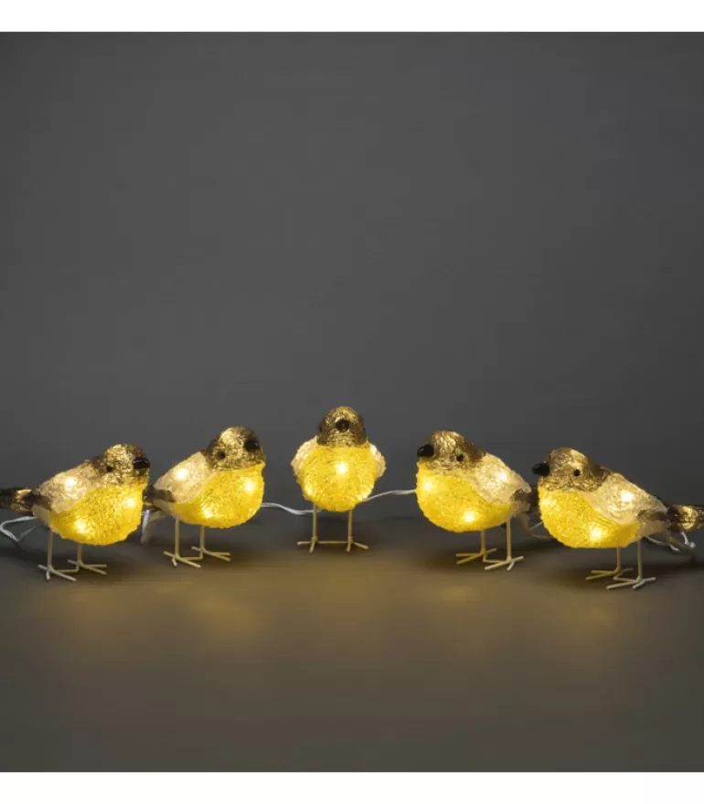 Cheap Oiseaux Lumineux Led En Acrylique, 5 Chardonnerets Oiseaux Lumineux Et Animaux Lumineux