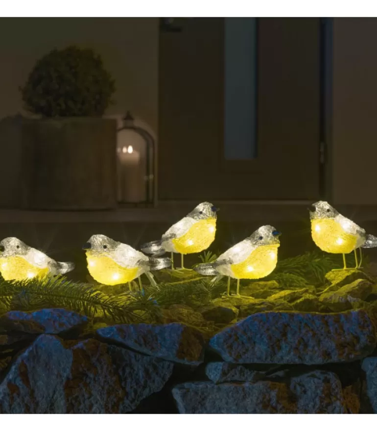 Cheap Oiseaux Lumineux Led En Acrylique, 5 Chardonnerets Oiseaux Lumineux Et Animaux Lumineux