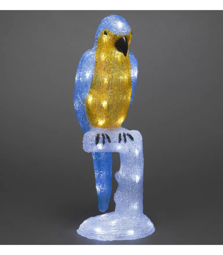 Clearance Perroquet Lumineux 50 Cm En Acrylique, 48 Diodes Blanc Chaud Oiseaux Lumineux Et Animaux Lumineux